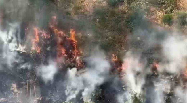 Kağıthane'de otluk alanda yangın: Dumanlar gökyüzünü kapladı, panik yaşandı