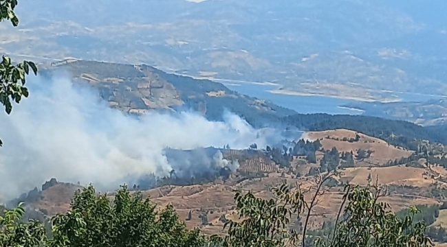 Kahramanmaraş'ta orman yangını