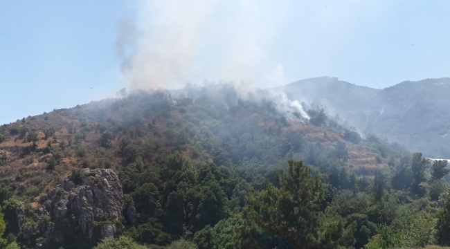 Mersin'de orman yangınına, havadan ve karadan müdahale ediliyor