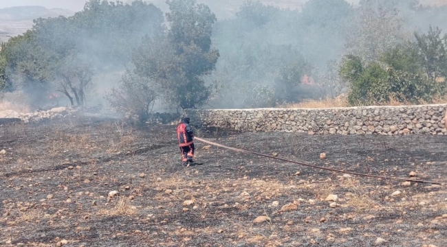 Şırnak'ta örtü yangını